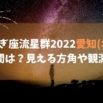 しぶんぎ座流星群2022愛知(名古屋)