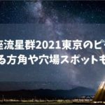 ふたご座流星群2021東京