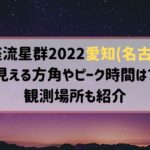 こと座流星群2022愛知(名古屋)で見える方角やピーク時間は？観測場所も紹介